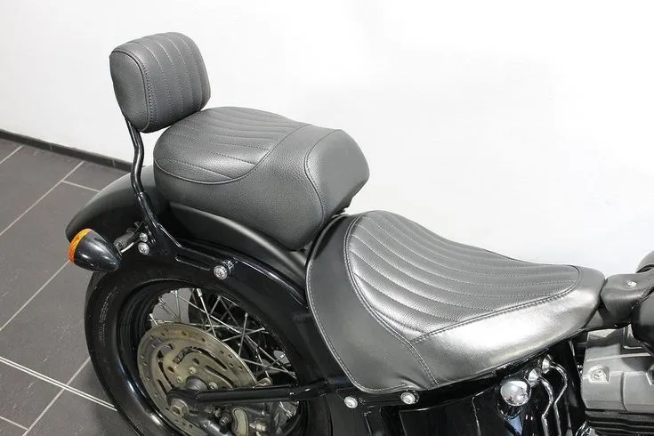 Harley-Davidson FLS Image 7